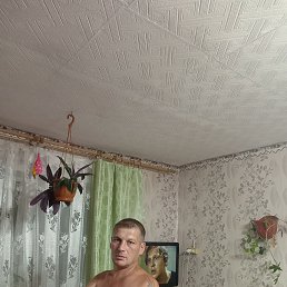 , 37 , 