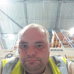 , 41, 