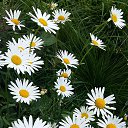 ���� ������, �����-���������, 62 ���� - ��������� 24 �������� 2025 � ������ �������