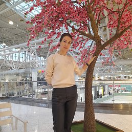 ���� ������, ������, 43 ���� - ��������� 27 ������ 2026