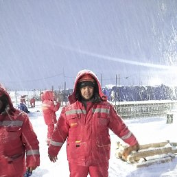 �����, �����������, 36 ���