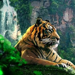 �������, ��������, 42 ����