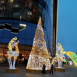 ���� ����, ������ - ��������� 27 ���� 2024