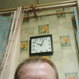 ������� �����, 41 ���, �������