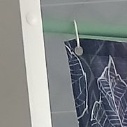 ������, 19 ���, ����