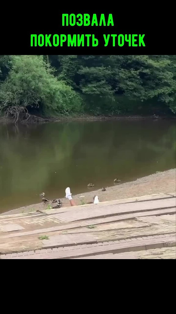 ��� ������ ��� �� �������