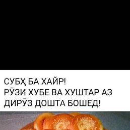 ��������, ������, 37 ���