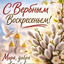 ���� �������, ������� - ��������� 5 ������ 2026 � ������ ������ ��������