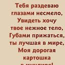 ���� �������, ���������� - ��������� 16 ������ 2026 � ������ ������ ��������