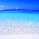 ���� ������, ���������, 40 ��� - ��������� 5 ������ 2024 � ������ ���� ����������