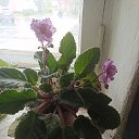 ���� ����, �����, 48 ��� - ��������� 10 ������ 2023 � ������ ���� ����������