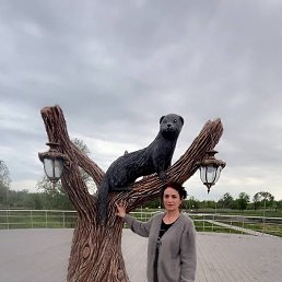 �������, �������, 56 ���