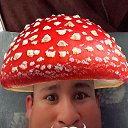 ���� �������, ������, 34 ���� - ��������� 10 ����� 2024 � ������ ���� ����������