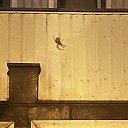 ���� Valentina ������ �����! ���� �� ���������� ����!, ����� - ��������� 3 ������� 2025 � ������ ���� ����������