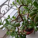 ���� ����, ������, 70 ��� - ��������� 22 ������� 2025 � ������ ���� ����������