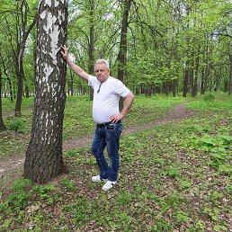 �������, ������, 68 ���