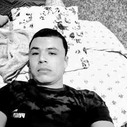 , 29, 