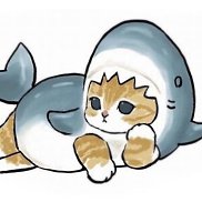 ���������, 21 ���, �����-���������