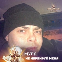 ���� ����, �����, 41 ��� - ��������� 15 ������ 2026