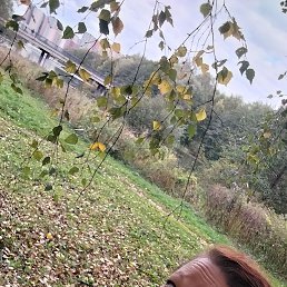 , 45, 