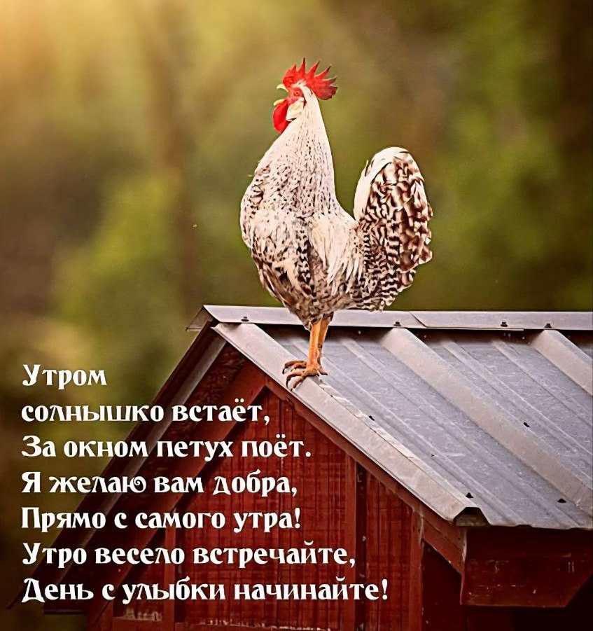  - 23  2025  10:31