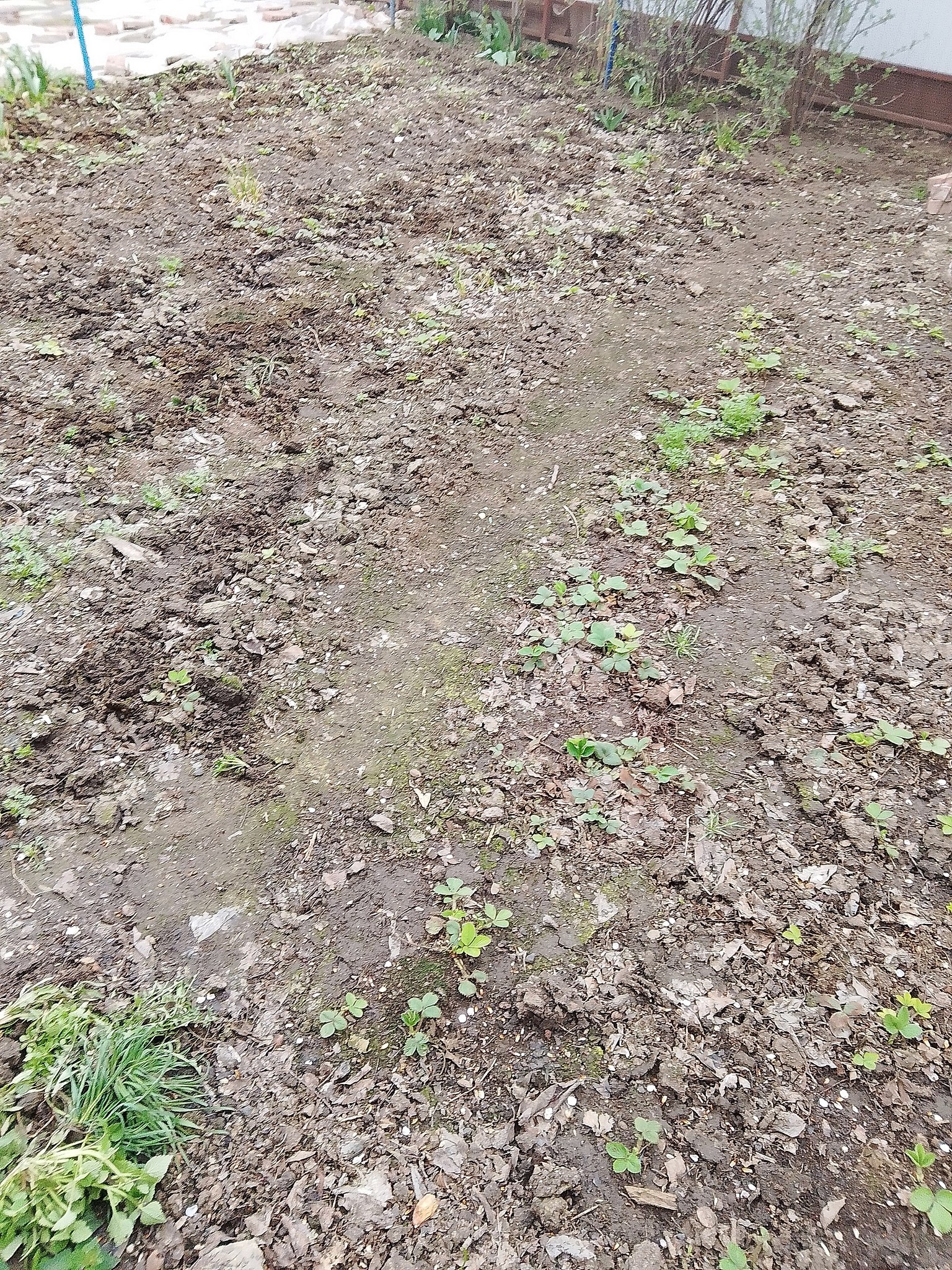   ,   ,  ,    ,   ...