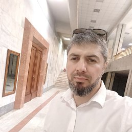, 37, 