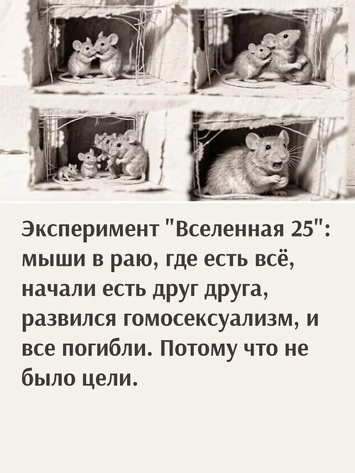 �� ����� ������! - 11 ���� 2026 � 20:53