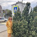 ���� �����, �����������, 63 ���� - ��������� 14 �������� 2025