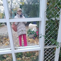 �����, ������, 33 ����