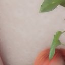 ���� ������, �����, 46 ��� - ��������� 11 ������ 2024