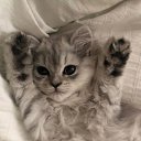 ���� ����, ���������, 22 ���� - ��������� 24 ������� 2025 � ������ ���� ����������