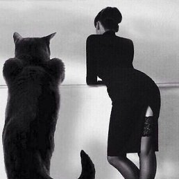 �������, ������, 45 ���