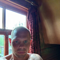 , 41,  