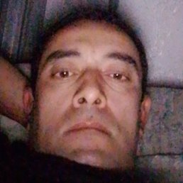 ������, ���������, 41 ���