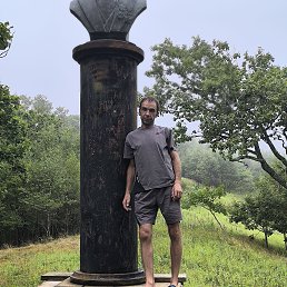 , 41, 