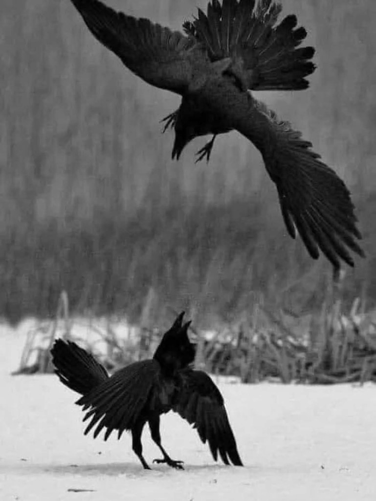 :)     ,  ,  .  , ,   ...