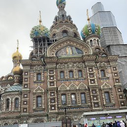 ���� �����, ��������, 43 ���� - ��������� 13 ������� 2024