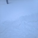 ���� ���������, ������, 37 ��� - ��������� 14 ������� 2024