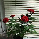 ���� ���������, ������, 45 ��� - ��������� 26 ������� 2023 � ������ ���� ����������