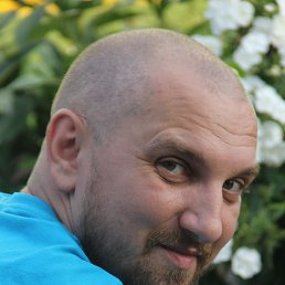 ����, �������, 41 ���