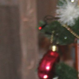 ����, �������������, 42 ����