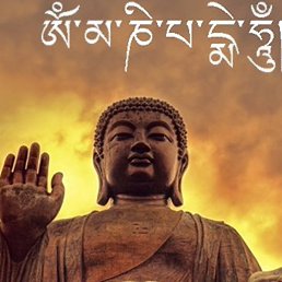 Dima, �����-���������, 38 ���