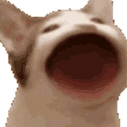 Kostya, �������, 23 ����