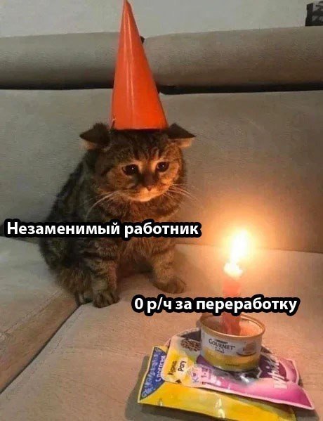    - 29  2023  00:36