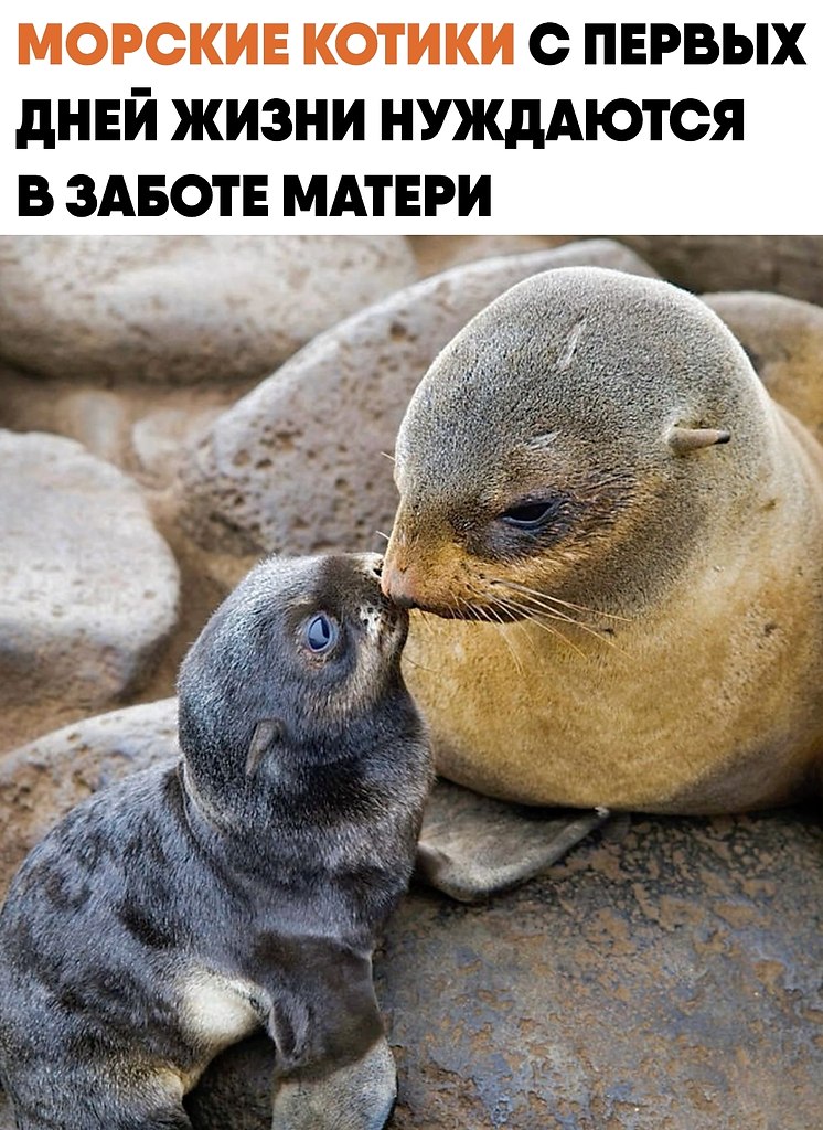 ������� ������� ������� � �������� ��������� ������� �� ������ � � ������. ������, ������� ...