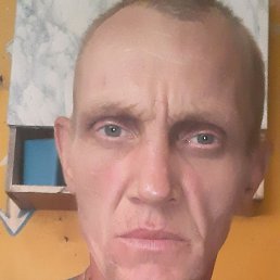 , 39, 
