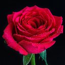 ���� �����, ����������, 51 ��� - ��������� 5 ������� 2025 � ������ ���� ����������