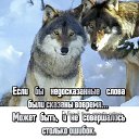 ���� �������, ���������, 39 ��� - ��������� 2 ��� 2024 � ������ ���� ����������