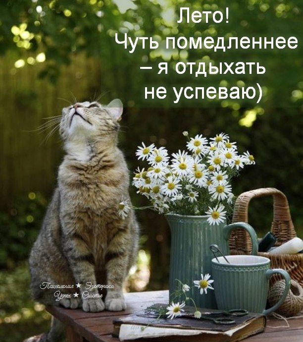 �������� ������ - 1 ���� 2026 � 13:14
